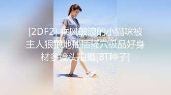 《顶级震撼极品母狗》最新万狼求购网红地狱调教大师【狗主人】私拍，多种刺激玩法SM调教滴蜡吃精肛链打桩机 (3)