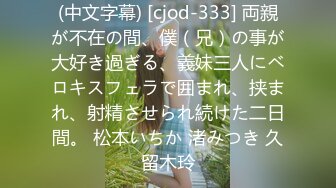 [sdjs-157] 元ホテルコンシェルジュの第二新卒 愛でたい小動物系スレンダー女子社員松川令奈がプニプニオマ○コをヒックヒクさせて大興奮 めちゃイキ4本番