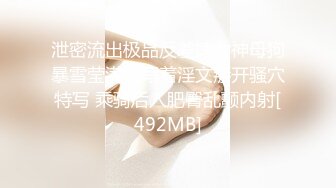 Sex Syndrome颜值模特各式艹穴私拍诱惑[62P+1V/84M]