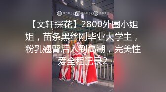 【文轩探花】2800外围小姐姐，苗条黑丝刚毕业大学生，粉乳翘臀后入到高潮，完美性爱全程记录2