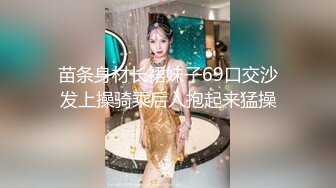 北京的长腿美女第二季