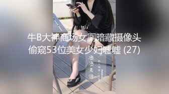 牛B大神商场女厕暗藏摄像头偷窥53位美女少妇嘘嘘 (27)