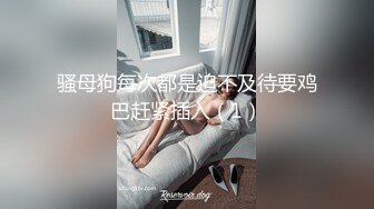 鱼网袜肥臀酒吧DJ