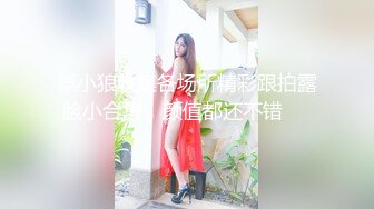 【新片速遞】 探花李寻欢下海拍黄片新作❤️趁姐姐出差清纯小姨子偷上姐夫的床 -十万网红美女 美酱