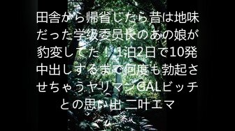 田舎から帰省したら昔は地味だった学级委员长のあの娘が豹変してた！ 1泊2日で10発中出しするまで何度も勃起させちゃうヤリマンGALビッチとの思い出 二叶エマ