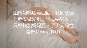 91大黄鸭-第5季-青花瓷旗袍肉丝模特美女108P高清无码露脸