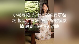 海口后入大奶少妇