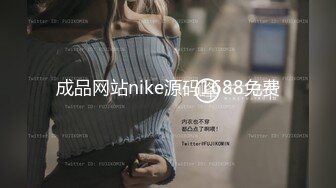 成品网站nike源码1688免费