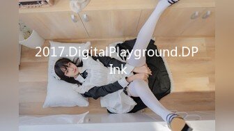 2017.DigitalPlayground.DP Ink