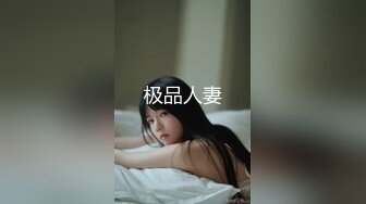 极品人妻