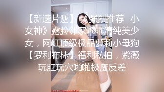 母狗老婆的骚逼2