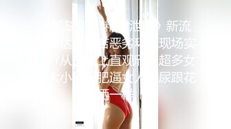 91精品无码人妻系列