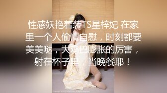 麻豆传媒MAD024 电竞女友 空降痴女今晚吃鸡！！ 陈可心