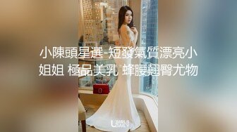 小陳頭星選-短發氣質漂亮小姐姐 極品美乳 蜂腰翹臀尤物