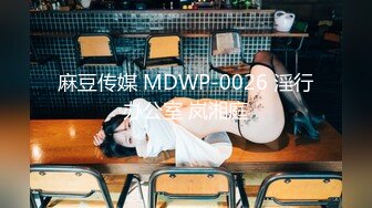 麻豆传媒 MDWP-0026 淫行办公室 岚湘庭