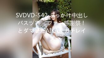 SVDVD-542 ぶっかけ中出しバスツアー ファン感謝祭！とダマしたAIKAをガチレイプ