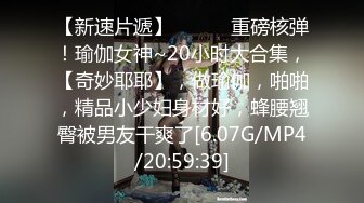 91大神秦先生第四部与兼职模特琪琪电影院厕所激情720P高清完整版