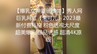 【爆乳女神重磅核弹】秀人网巨乳网红『朱可儿』2023最新付费私拍 粉色透视大尺度 超美爆乳 极品诱惑 超清4K原版