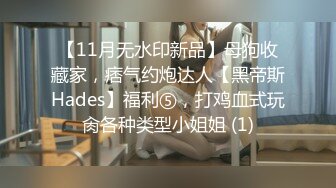 【11月无水印新品】母狗收藏家，痞气约炮达人【黑帝斯Hades】福利⑤，打鸡血式玩肏各种类型小姐姐 (1)