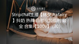 Stripchat主播【林夕 Aafairy】抖奶 热舞 自慰视频福利 最全 合集【100v】 (30)