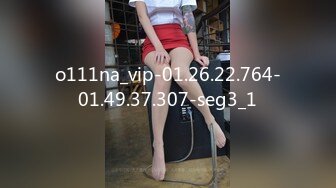 o111na_vip-01.26.22.764-01.49.37.307-seg3_1