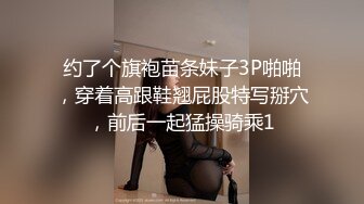 极品骚妇被后入